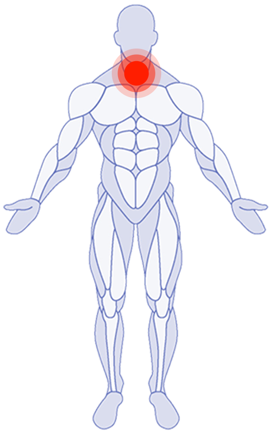 Anatomy Service Map